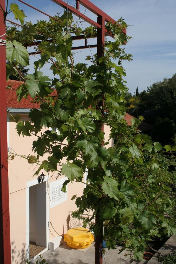 Apartments By The Sea Trpanj, Peljesac - 257 Ngoại thất bức ảnh